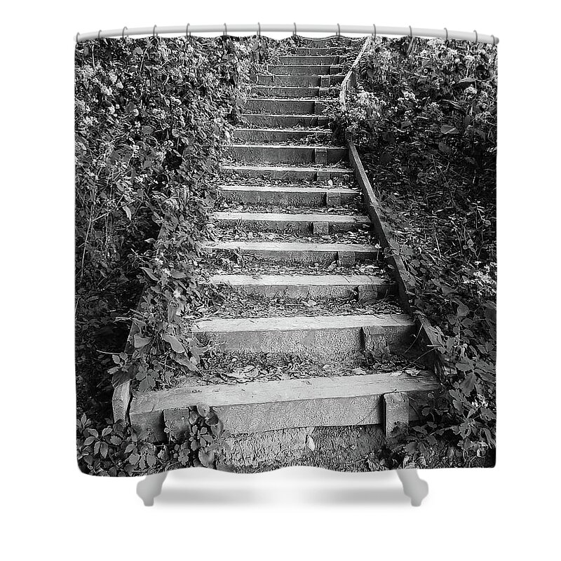 Ann Arbor Shower Curtain featuring the photograph Stairway Through Foliage by Phil Perkins