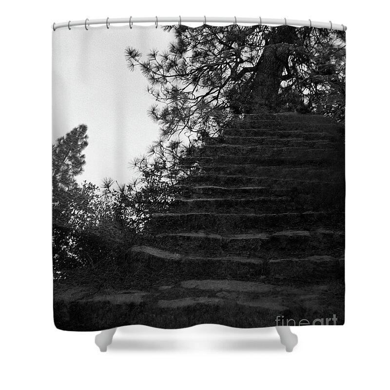 Tree Shower Curtain featuring the photograph Stairway To Heaven-Signed-#001 by J L Woody Wooden