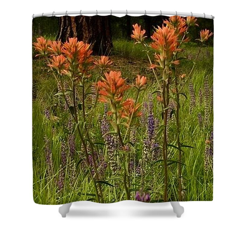 Purple Shower Curtain featuring the photograph Stand Out in the Crowd by Jennifer Lake