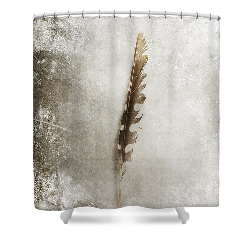 Shaft Shower Curtain featuring the photograph Standing Feather by Randi Grace Nilsberg
