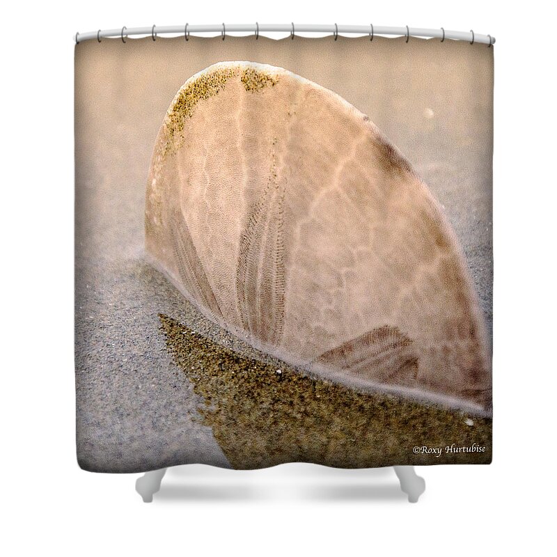 Sand Dollar Shower Curtain featuring the photograph Standing in the Glow by Roxy Hurtubise