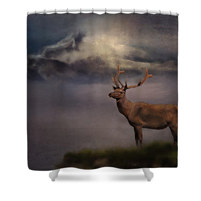 Elk Shower Curtain featuring the photograph Standing Proud by Pam Holdsworth