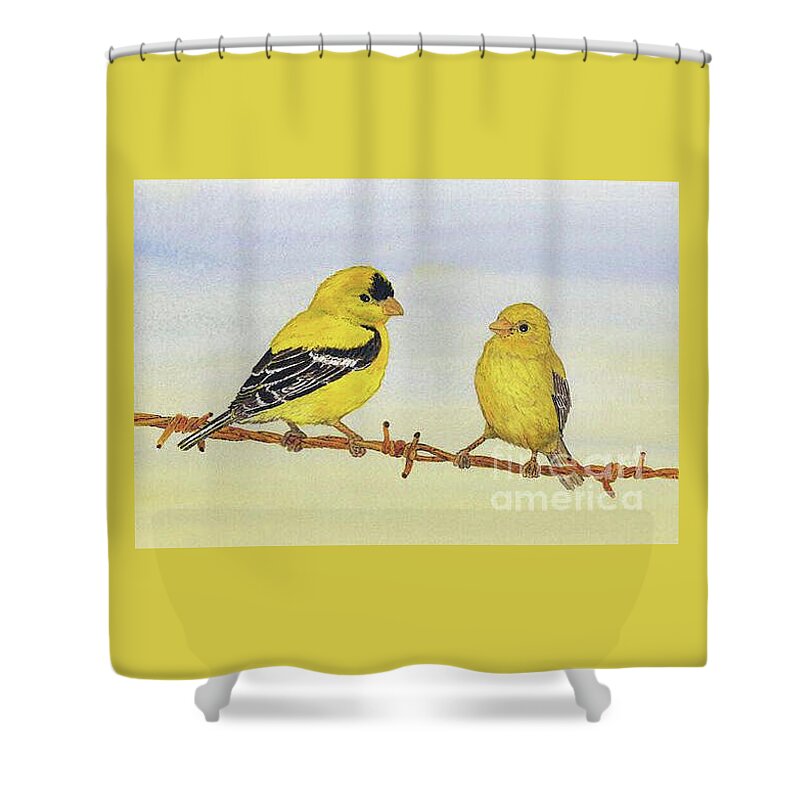 Bird Goldfinch Finch Robin Sparrow Garden Song Thom Glace Wren Cardinal Bluebird Gold Barbed Wire Watercolor Art Shower Curtain featuring the painting Standing Room Only by Thom Glace