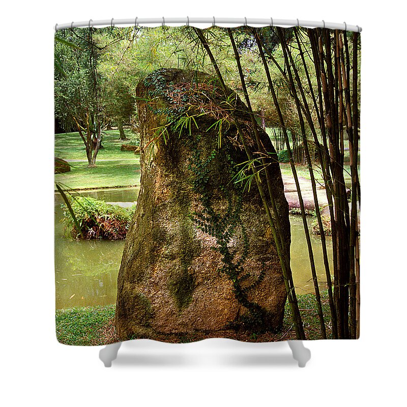 Standing Stone Shower Curtain featuring the photograph Standing Stone with Fern and Bamboo 19A by Gerry Gantt