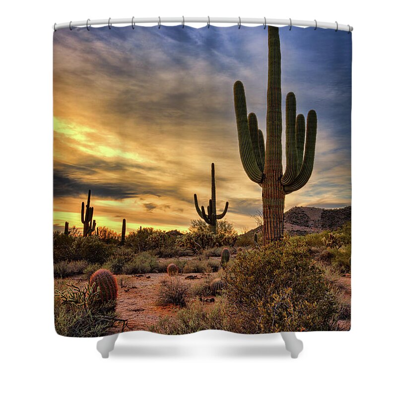 Saguaro Sunset Shower Curtain featuring the photograph Standing Tall At Sunset by Saija Lehtonen