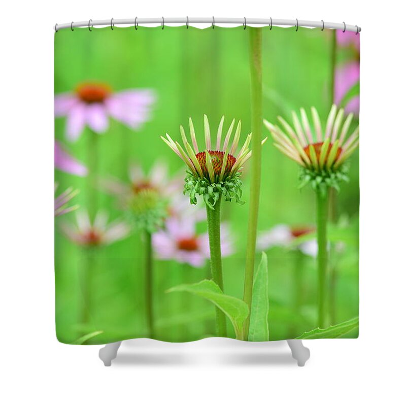 Nature Prints Shower Curtain featuring the photograph Standing Tall by Bonnie Bruno