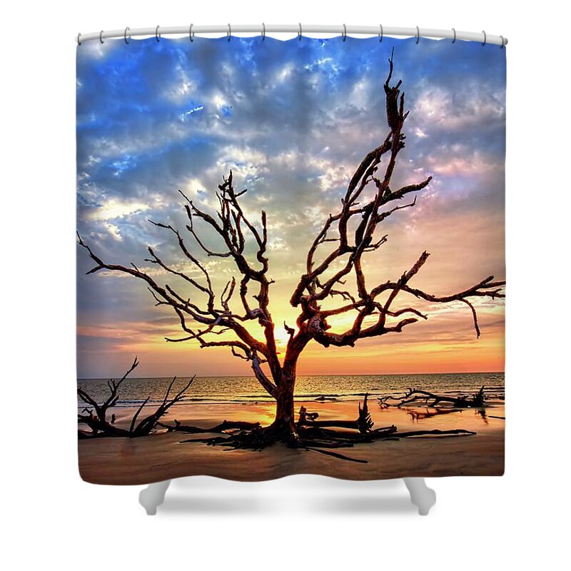 Georgia Shower Curtain featuring the photograph Still Standing by Harriet Feagin
