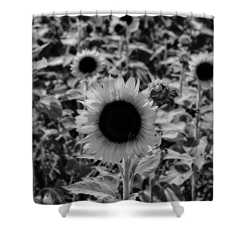 Flower Shower Curtain featuring the photograph Standing Tall by Joseph Caban