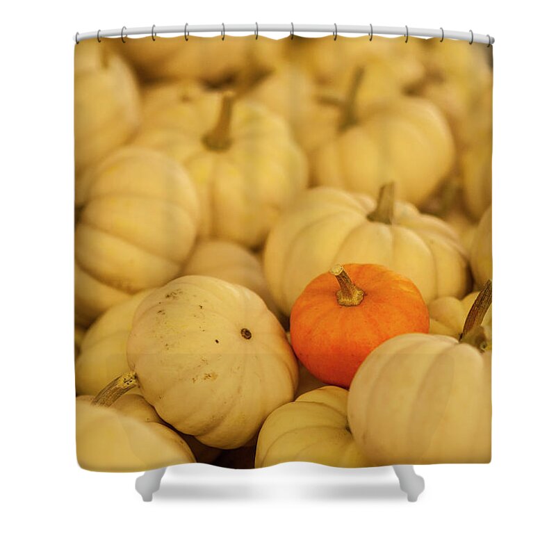 Abundance Shower Curtain featuring the photograph Standout by Brian Green