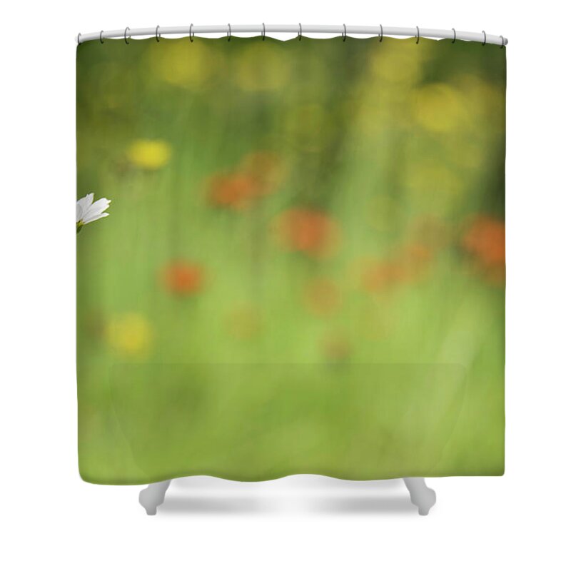 Daisy Shower Curtain featuring the photograph Stands Out by Himself by Kathy Paynter