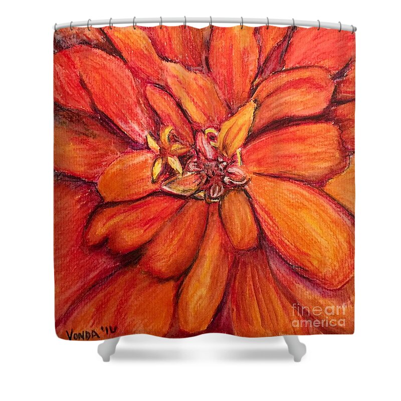 Macro Shower Curtain featuring the drawing Star Flower by Vonda Lawson-Rosa