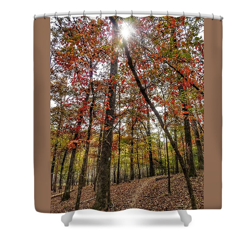 Starburst Shower Curtain featuring the photograph Starburst in the Forest by Doris Aguirre