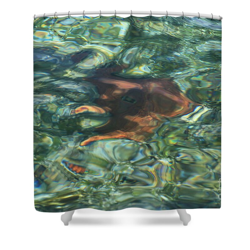 Water Shower Curtain featuring the photograph Starfish Abstract by Edward R Wisell
