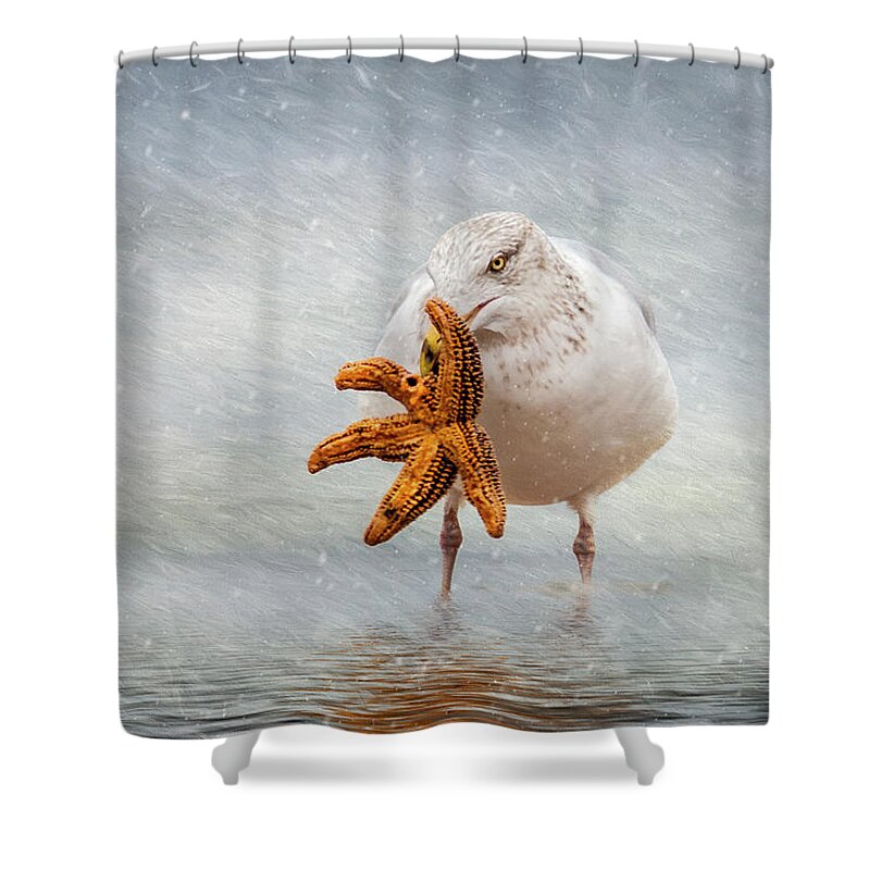 Coastal Shower Curtain featuring the photograph Starfish For Dinner by Cathy Kovarik