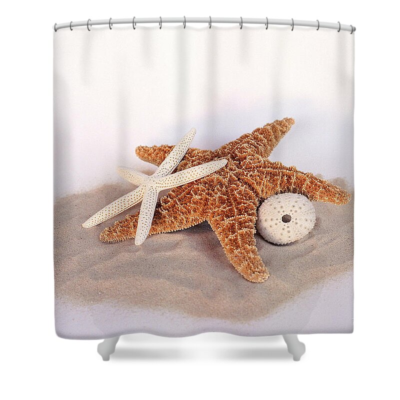 Starfish Shower Curtain featuring the photograph Starfish Still Life by Terri Harper