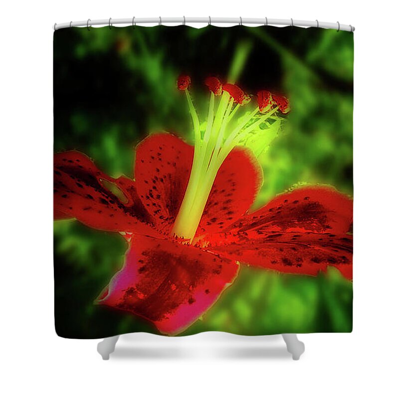 Stargazer Lily Shower Curtain featuring the photograph Stargazer Lily by Mike Breau