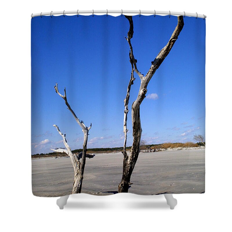 Landscape Shower Curtain featuring the photograph Stark and Beautiful 2 by Jean Wolfrum