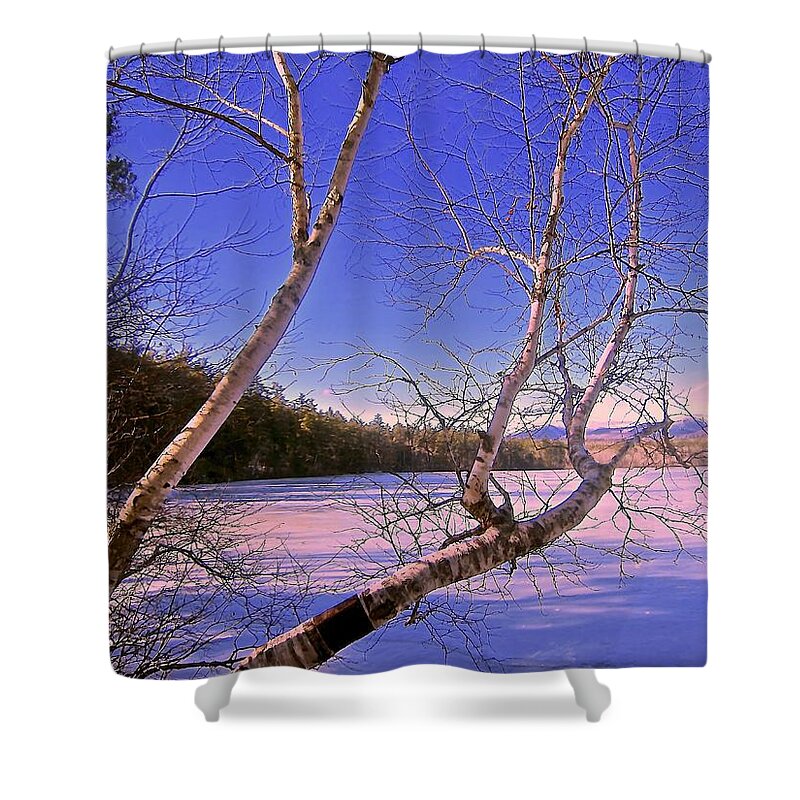  Shower Curtain featuring the photograph Starkness of Winter by Elizabeth Tillar
