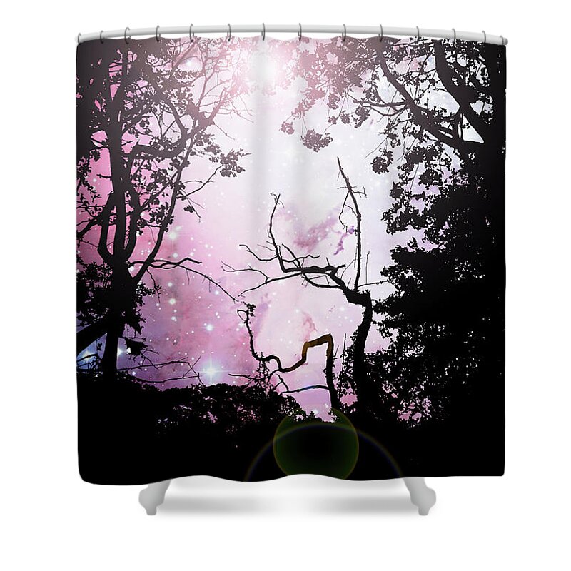 Starry Night Shower Curtain featuring the photograph Starry Night at a Forest Edge by A Macarthur Gurmankin