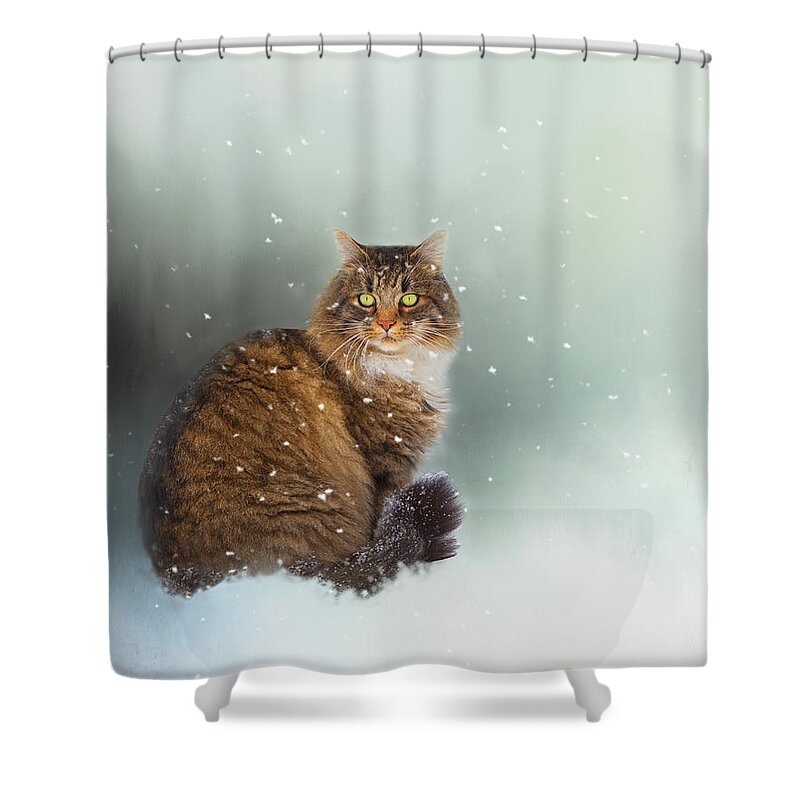 Theresa Tahara Shower Curtain featuring the photograph Starting To Snow Again by Theresa Tahara