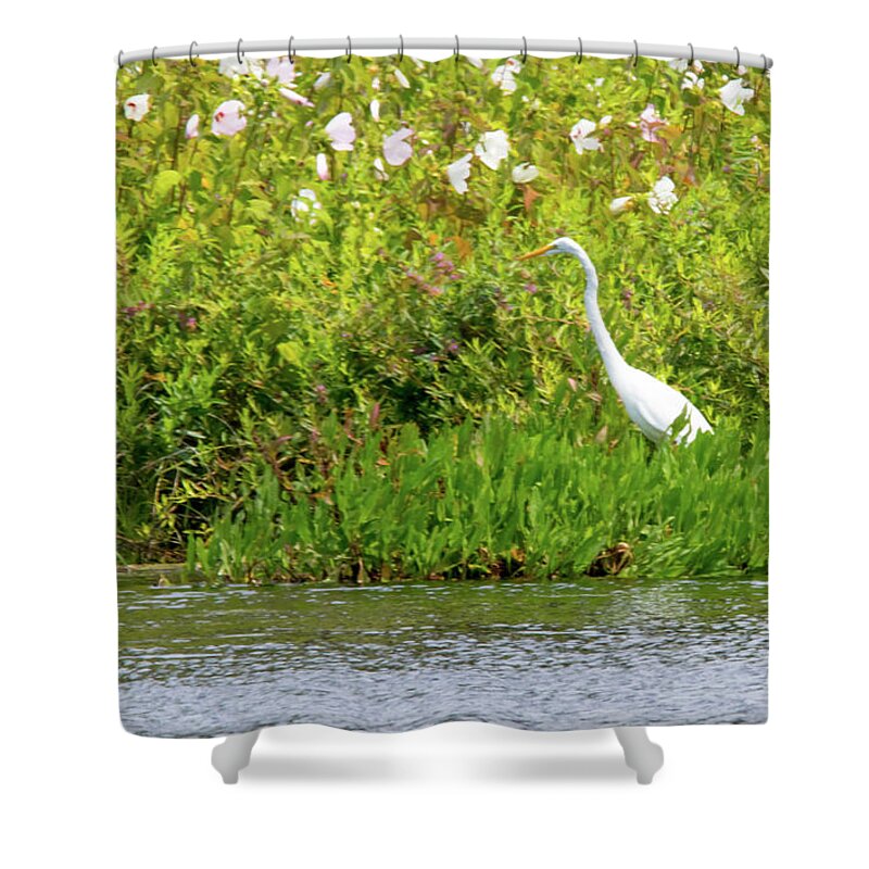 Egret Shower Curtain featuring the photograph Stately Egret by Tom Horsch Photography