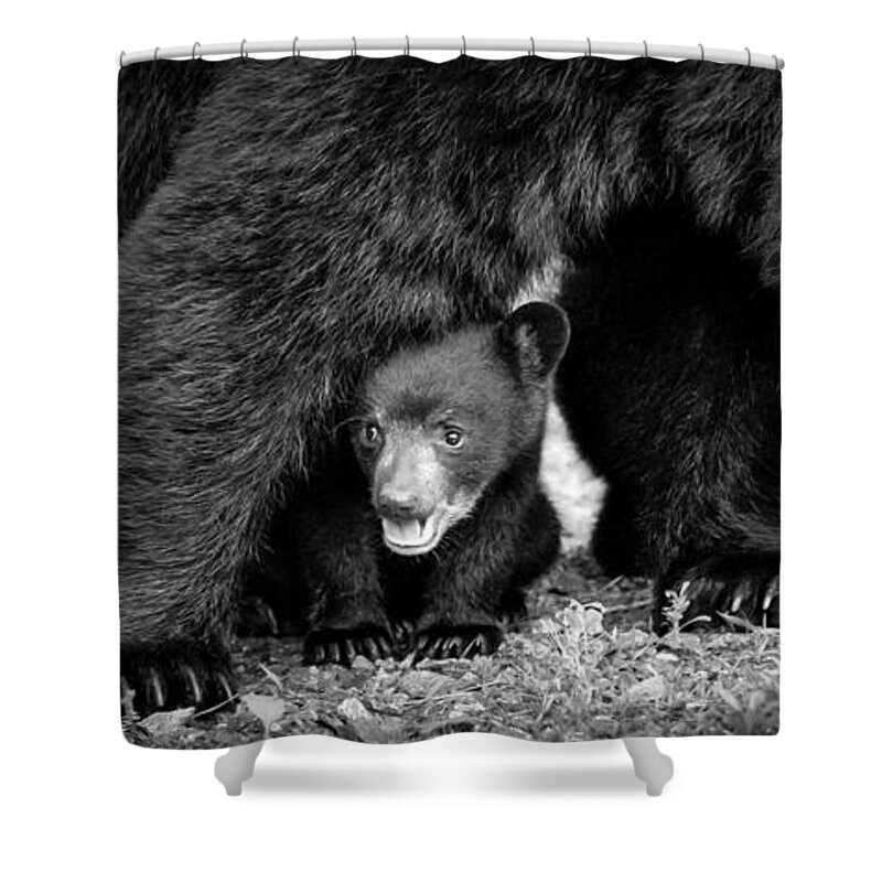 Asheville Shower Curtain featuring the photograph Staying Close-bw by Joye Ardyn Durham