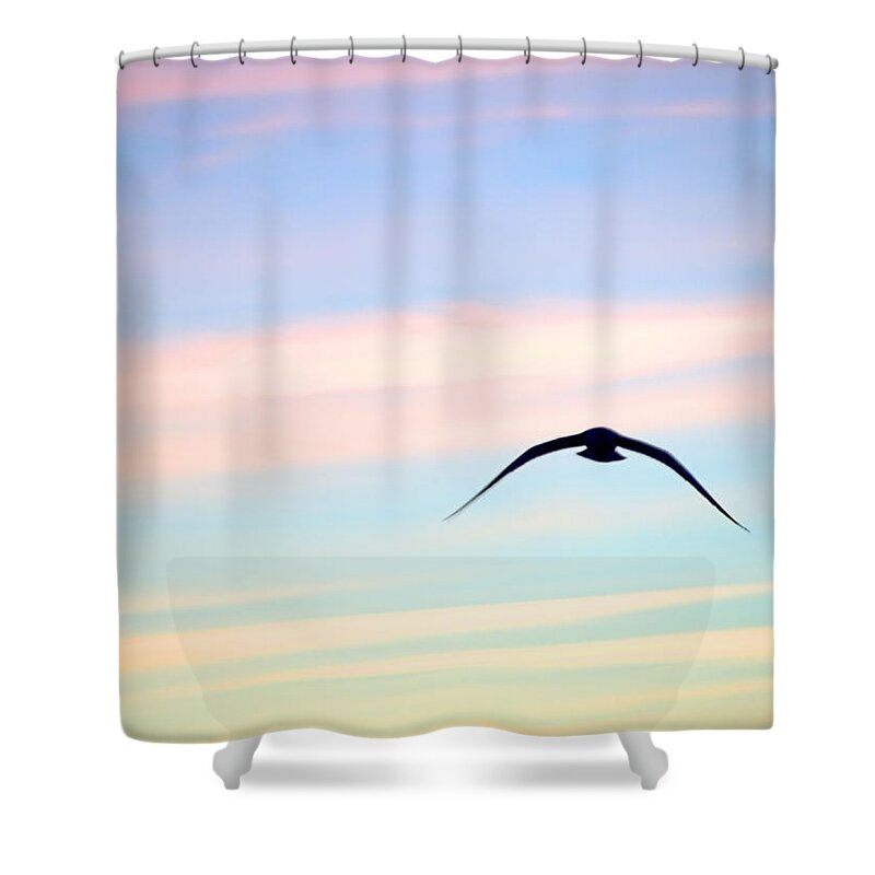 Gull Shower Curtain featuring the photograph Stealth by Newwwman