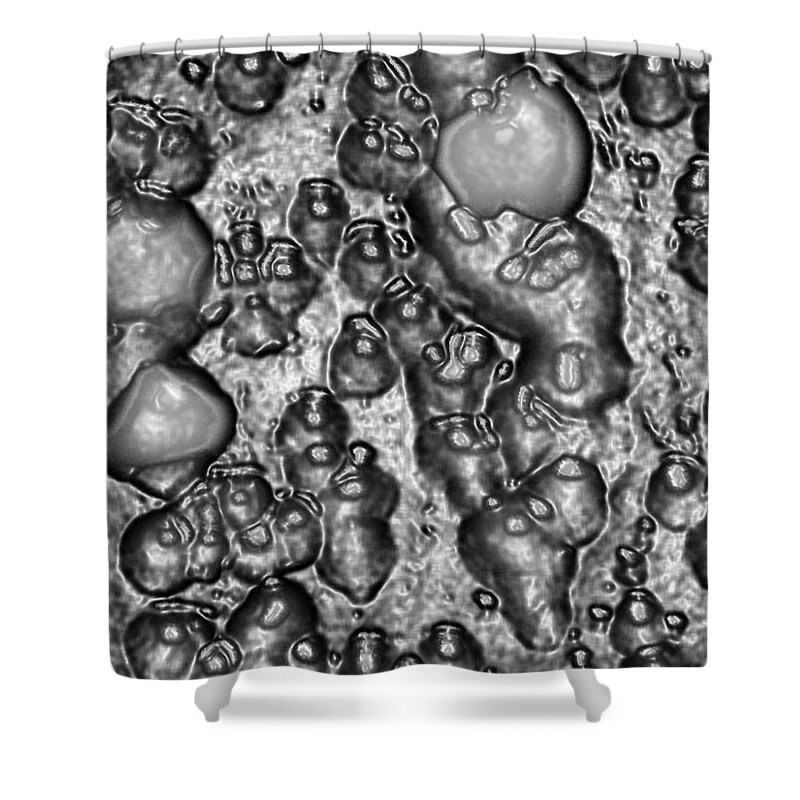  Shower Curtain featuring the photograph Steel Plated Microbes by Rein Nomm