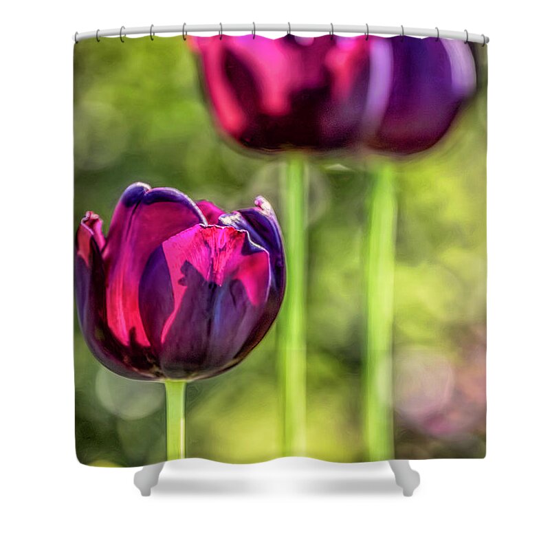 Flower Shower Curtain featuring the digital art Stepping Out by Jean OKeeffe Macro Abundance Art