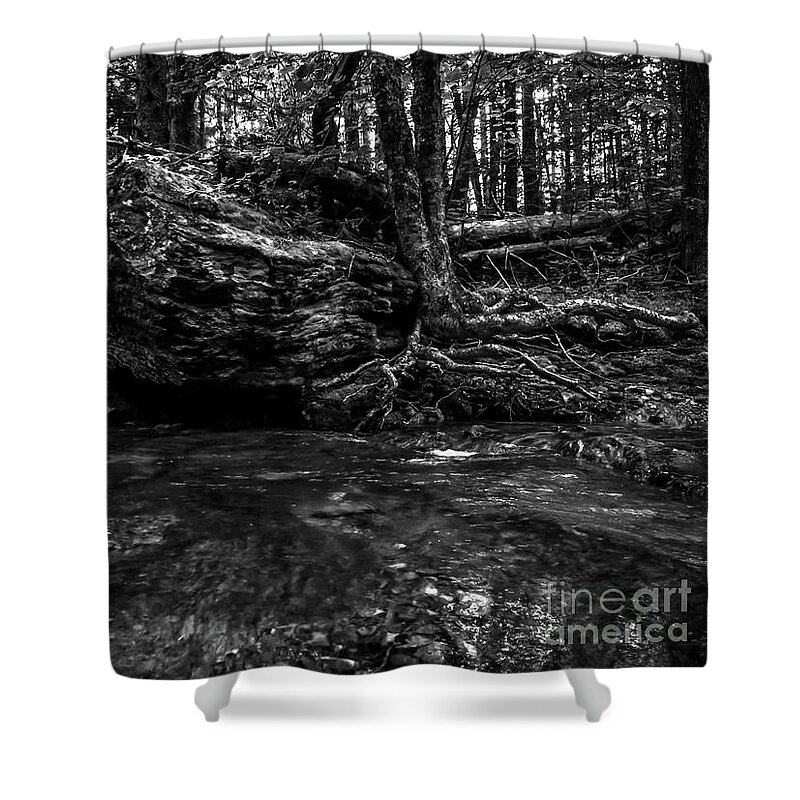 River Shower Curtain featuring the photograph Stevensville Brook in Underhill, Vermont - 1 BW by James Aiken