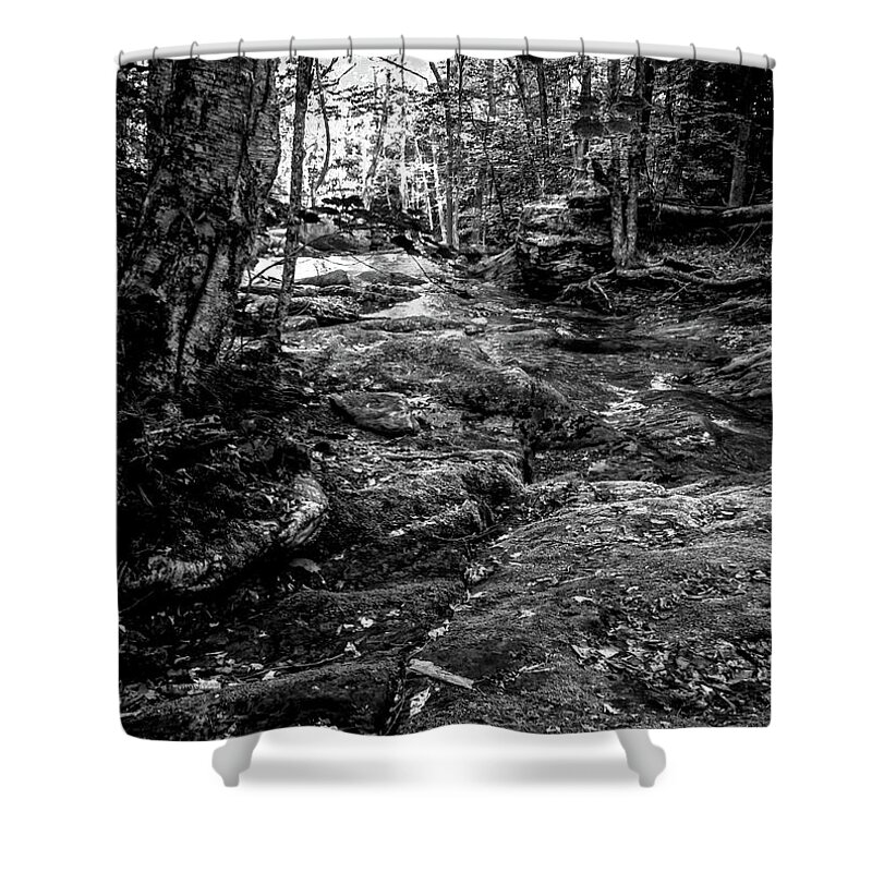 River Shower Curtain featuring the photograph Stevensville Brook in Underhill, Vermont - 2 BW by James Aiken