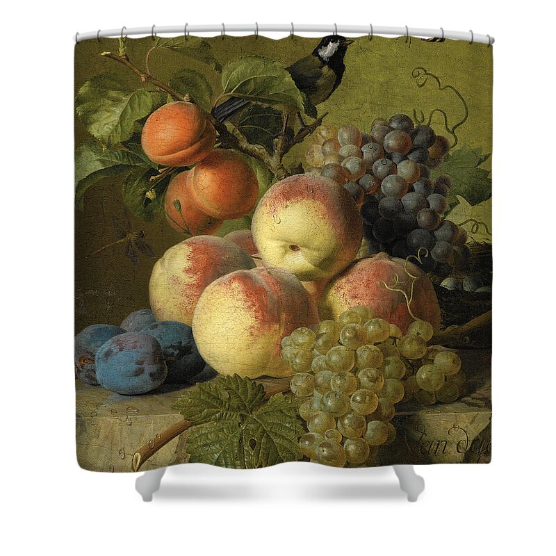 Jan Frans Van Dael Shower Curtain featuring the painting Still life of peaches grapes and plums on a stone ledge with a bird and butterfly by Jan Frans van Dael