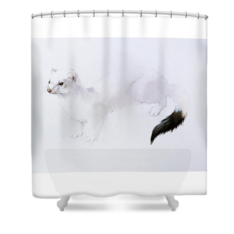 Stoat Shower Curtain featuring the painting Stoat Watercolor by Attila Meszlenyi