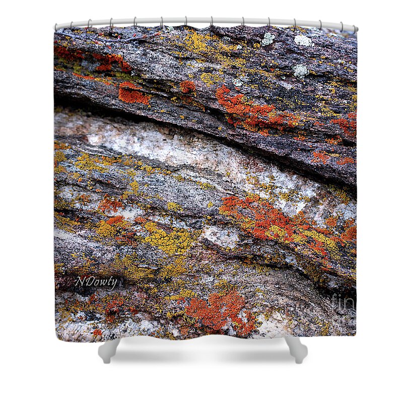 Stone And Lichen Shower Curtain featuring the photograph Stone and Lichen by Natalie Dowty
