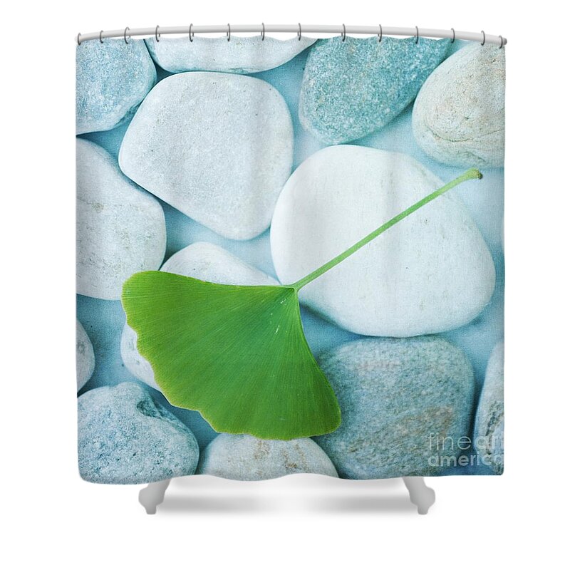 Priska Wettstein Shower Curtain featuring the photograph Stones And A Gingko Leaf by Priska Wettstein