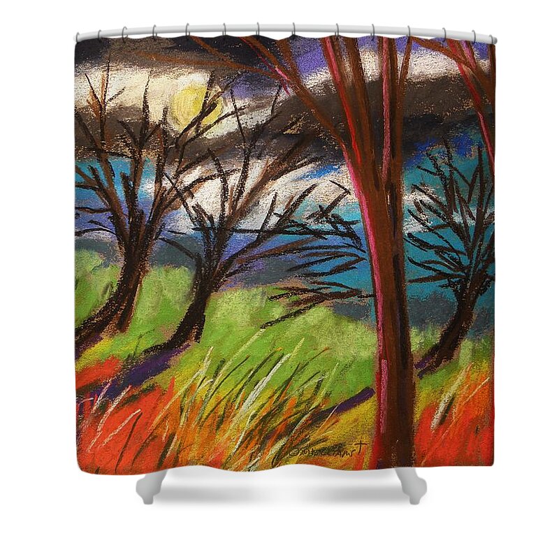 Pastes Shower Curtain featuring the painting Storm Approaching Fast by John Williams
