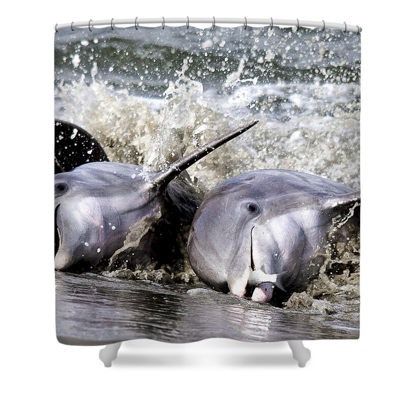 Dolphins Shower Curtain featuring the photograph Strand Feeding by Jim Miller