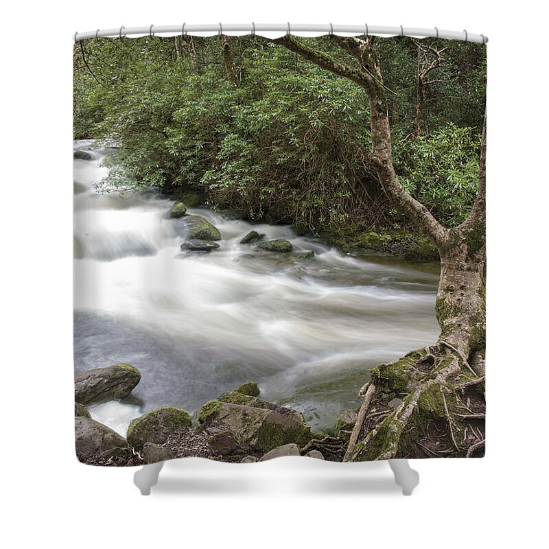 Original Shower Curtain featuring the photograph Stream below Torc Waterfall Killarney National Park by WAZgriffin Digital