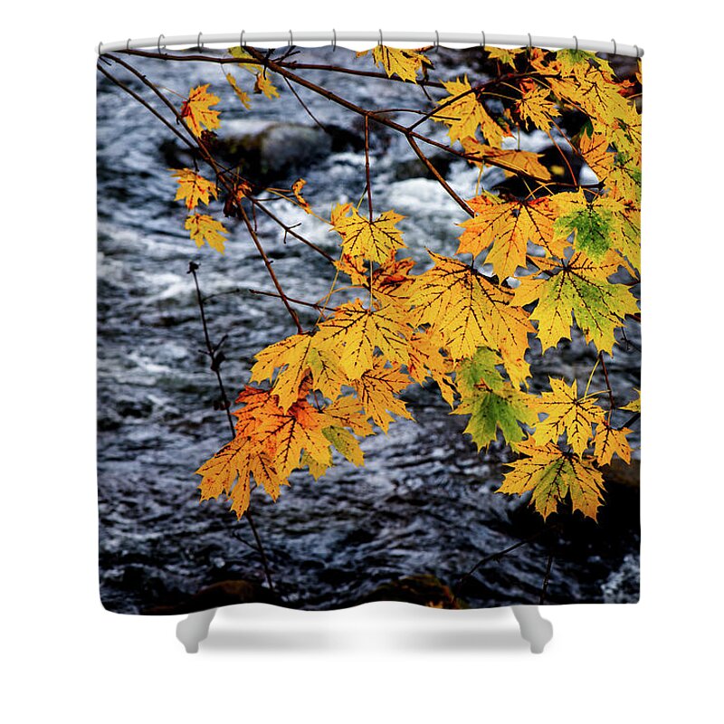 Landscape Shower Curtain featuring the photograph Stream in Fall by Joe Shrader