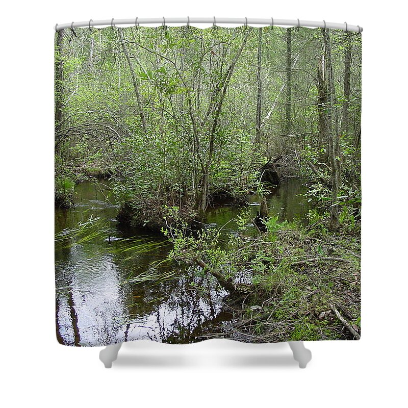Stream Shower Curtain featuring the photograph Stream in the Forest by Quwatha Valentine