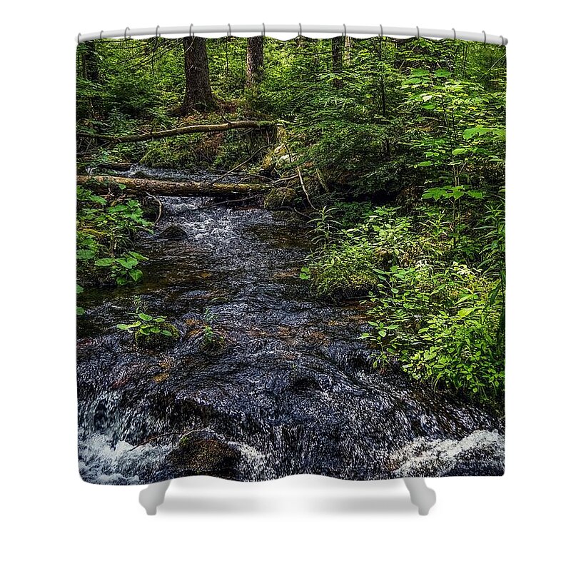 Shower Curtain featuring the photograph Streaming by Kendall McKernon