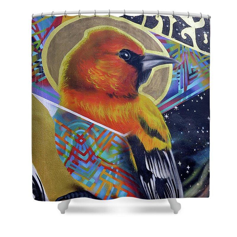 Mural Shower Curtain featuring the photograph Street Art by Teresa Zieba