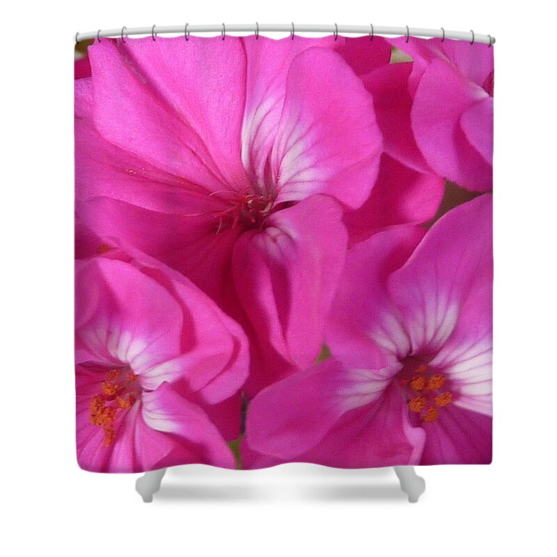 Flower Shower Curtain featuring the photograph Strength and Beauty by Melanie Moraga
