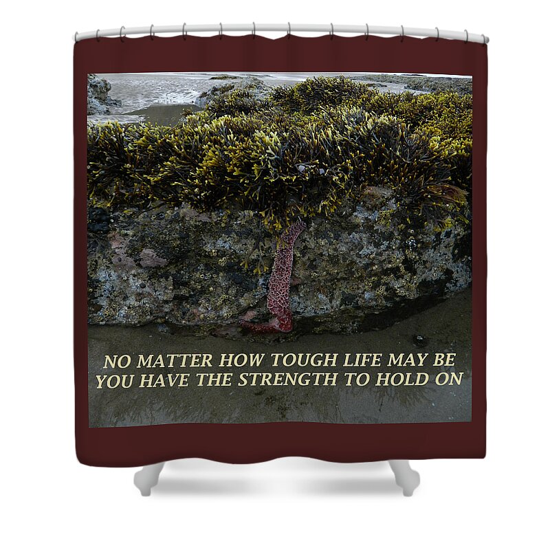 Starfish Shower Curtain featuring the photograph Strength To Hold On by Gallery Of Hope 
