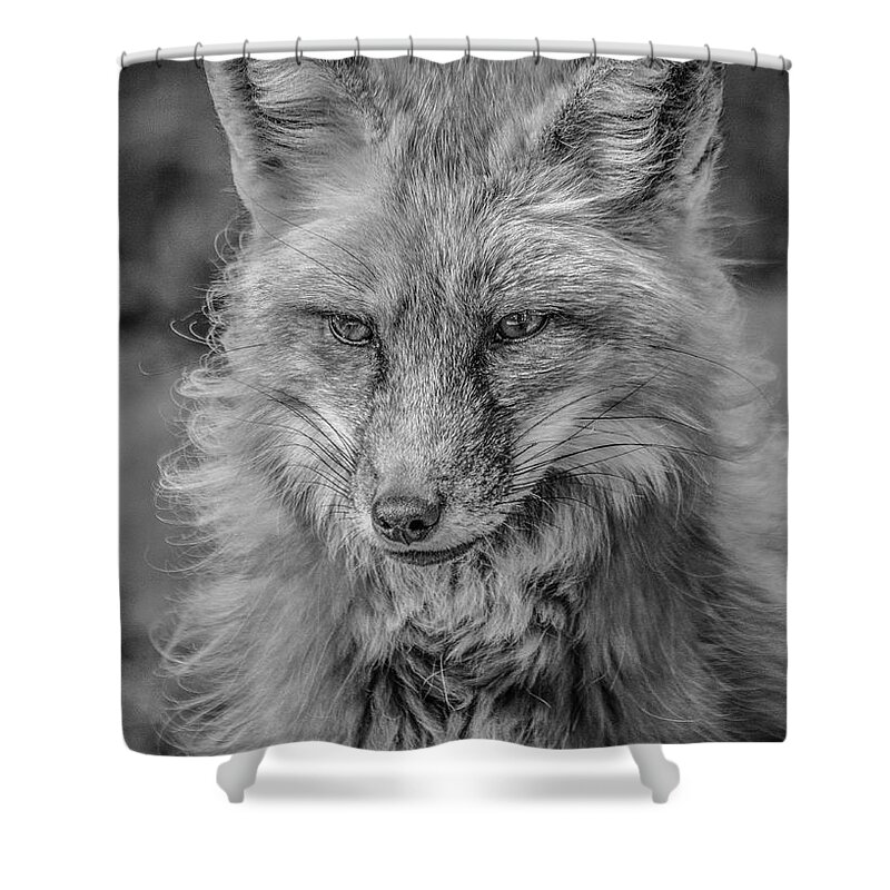 Tl Wilson Photography Shower Curtain featuring the photograph Striking a Pose Black and White by Teresa Wilson