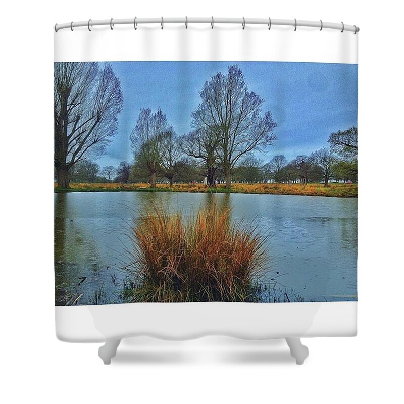 Artistsview Shower Curtain featuring the photograph Stuck In The Middle With by Tai Lacroix