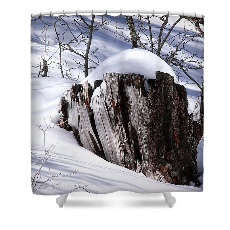 Snow Shower Curtain featuring the photograph Stump by Elaine Malott