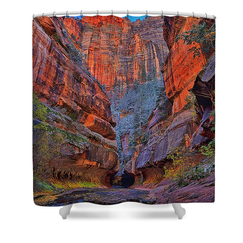 Subway Shower Curtain featuring the photograph Subway Entrance by Greg Norrell
