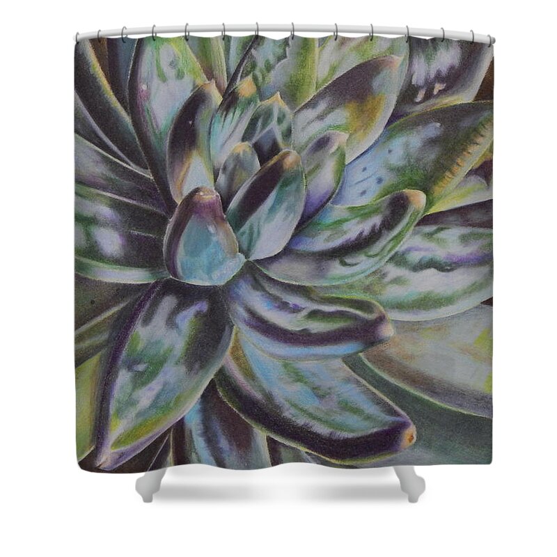 Succulent Shower Curtain featuring the painting Succulent by Angela Armano