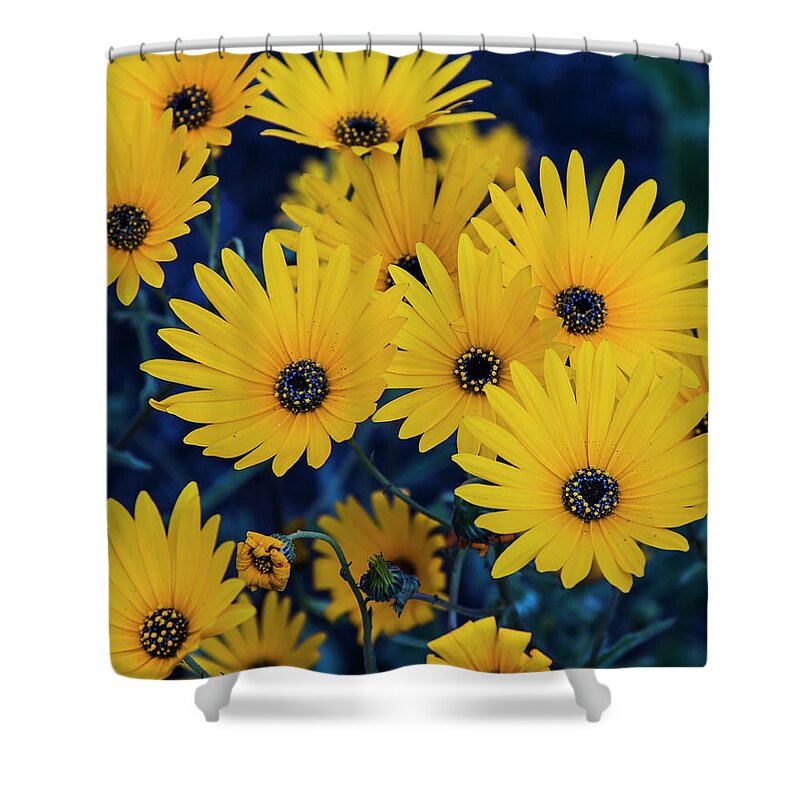 Succulent Shower Curtain featuring the photograph Succulent Karoo blooming - 5 by Claudio Maioli